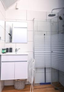 海法Nemo's Luxury Studios的带淋浴和盥洗盆的浴室