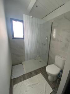 阿尔桑雷HOOliRé17 3étoiles的白色的浴室设有卫生间和淋浴。