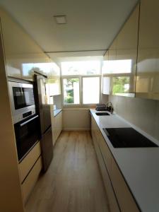 埃斯托利尔Elite House Estoril的厨房配有水槽、冰箱和窗户。