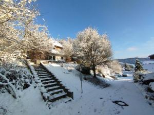 Echternacherbrückgemütliche Wohnung mit Kamin - Sunny Hill Holiday Home的房屋前有雪覆盖的楼梯