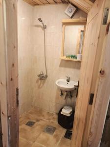 佛雷亚法拉雅木屋的一间带水槽和淋浴的小浴室