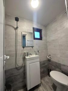 萨帕雷瓦巴尼亚Къща за гости Елит (Guest House Elite)的一间带水槽、卫生间和镜子的浴室
