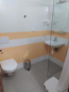 普罗斯特迪尼贝克瓦Hotel KRYŠTOF的一间带卫生间和水槽的浴室