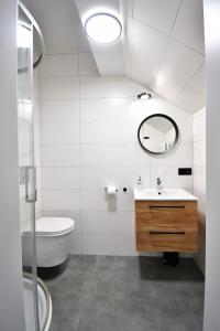 格但斯克雷比赫瓦Sleepinn Gdansk Airport的一间带水槽、卫生间和镜子的浴室