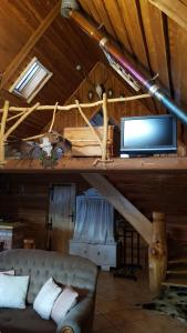 Nowy BarkoczynDzika Chata的客厅配有沙发和木天花板上的电视