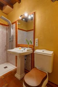格拉纳达SUITES CASA DE LAS COLUMNAS的一间带水槽、卫生间和镜子的浴室