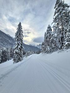 坎波罗索因瓦尔坎纳尔Chalet Camporosso的雪覆盖 道路上有雪覆盖的树木