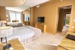 滨海萨纳里法兰多乐酒店的酒店客房,配有床和电视