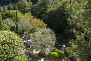 科尔特Dominique Colonna的享有灌木和树木花园的顶部景致