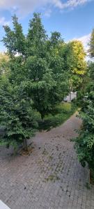 布加勒斯特Loft Ferdinand的公园砖路上两棵树