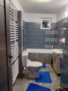 坎普朗莫道尼斯Casa Balan的一间带卫生间和水槽的浴室