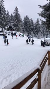 弗拉西克Planinska kuća Vlašić的一群人在雪中行走