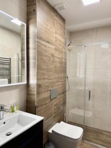 什平德莱鲁夫姆林SYNEK Pension的浴室配有卫生间、盥洗盆和淋浴。