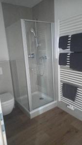 吉贝尔施塔特Katjas Ferienwohnungen的带淋浴和卫生间的浴室