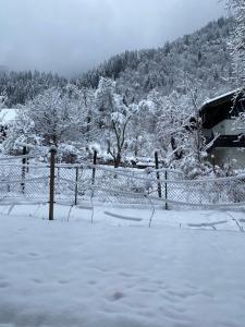 赛特朵夫Landhaus Marmorata的雪覆盖的院子,有栅栏和树木