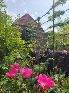Den DungenStudio Nok bij Den Bosch的两朵粉红色的花在房子前面