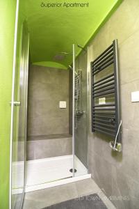 卡塔尼亚Old Town Apartments Catania的带淋浴的浴室(带绿色天花板)