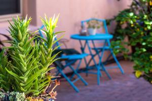 土桑安道比玫瑰住宿加早餐旅馆的蓝色椅子和蓝色桌子,还有一些植物
