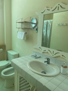 圣塔芭芭拉-山美纳La Dolce Vita Rental, Las Terrenas, Samana的一间带水槽、卫生间和镜子的浴室