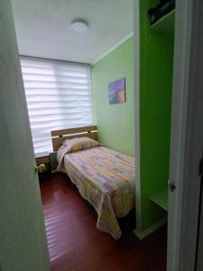 洛斯安第斯Apartamento的一间小卧室,在绿色的房间里配有一张床