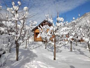 普拉夫Holiday cottage & food Plav的雪地里的小木屋,有雪覆盖的树木