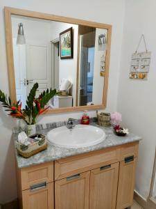 帕皮提Farerei Appartement spacieux, équipé et confortable的一间带水槽和大镜子的浴室