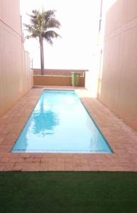 马盖特Margate Beachfront Apt for 6 adults 2 kids的棕榈树建筑中的游泳池