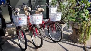 清迈蒙塔酒店的两辆自行车,两辆自行车在两辆自行车上放置篮子,