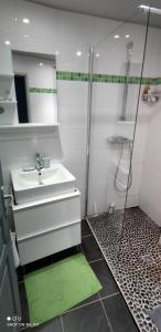 南特CŒUR MENOU, Radis'son & PARKING的一间带水槽和淋浴的浴室