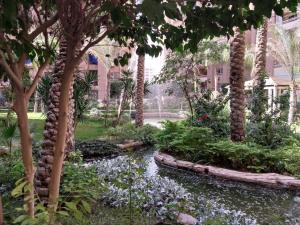 开罗compound city towers elwaha的种植了小溪和棕榈树的花园