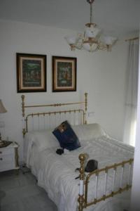 雷塔马尔Piso lujo el toyo的一间卧室,卧室里配有一张床,猫坐在床上