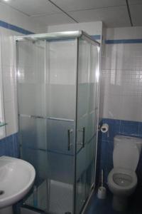 雷塔马尔Piso lujo el toyo的带淋浴、卫生间和盥洗盆的浴室
