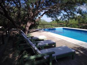 梅洛Complejo Pasos Malos的树旁的游泳池,配有椅子和桌子