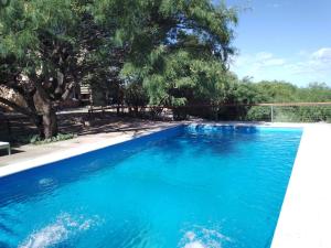 梅洛Complejo Pasos Malos的一座绿树成荫的蓝色游泳池