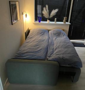 布罗艾厄AgerBro的一张床上有两个枕头的房间