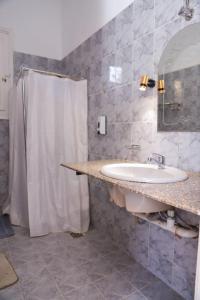 卢克索Luxor Oasis Guest House的一间带水槽和淋浴帘的浴室