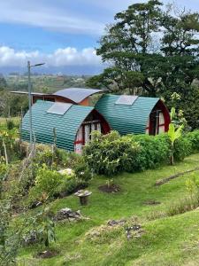 迦太基Glamping Campo Alegre的田野顶部有绿色屋顶的房子