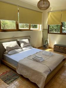 阿迪斯普普伦Minoa apartment in the heart of a Cretan village的一间卧室配有一张大床和毛巾