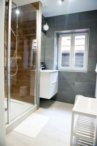 塞莱斯塔La Pomme Du Président II的带淋浴的浴室和玻璃门