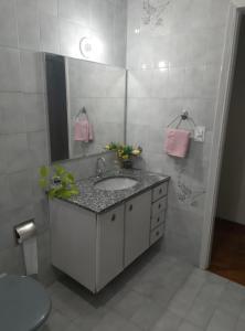 塞拉内格拉Casa no Centro de Serra Negra的一间带水槽和镜子的浴室