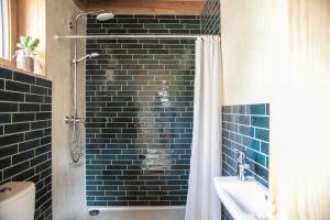 ChiatraEco lodge Carbonaccio的带淋浴的浴室和黑色瓷砖墙