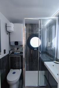 温德托尔夫Hausboot Fjord Lacerta mit Dachterrasse in Wendtorf的浴室配有卫生间、淋浴和盥洗盆。