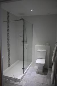 莱兰Charnock Farm Motel的一间带玻璃淋浴和卫生间的浴室