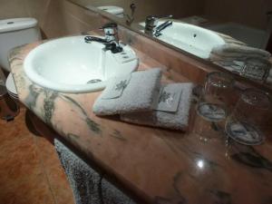 埃尔瓦斯布拉斯卡酒店的一间带水槽和台面的浴室