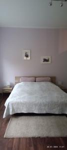 萨格勒布Apartman Zelengaj的一间卧室配有一张大床,墙上有两张照片