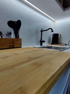 梅加斯·亚洛斯-奈特斯Litus Studios的厨房配有水槽和木制台面