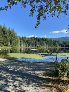考伊琴湖Beaver Lake Resort Site #36的享有背景树木的湖泊美景