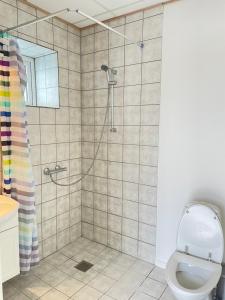 斯凯恩Skjernaa-ferie/ Andersen Invest的带淋浴和卫生间的浴室
