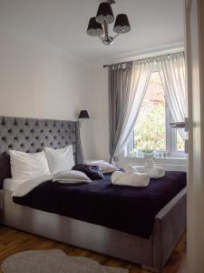 弗罗茨瓦夫Brick House - Apartament Zośka的卧室配有带枕头的大床和窗户。