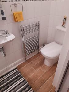 爱丁堡Modern flat near city centre.的一间带卫生间和水槽的浴室